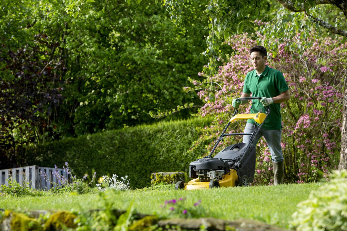 petits travaux de jardinage domidom